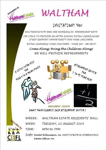 S3P__Consultation_Leaflet_-_Waltham.jpg